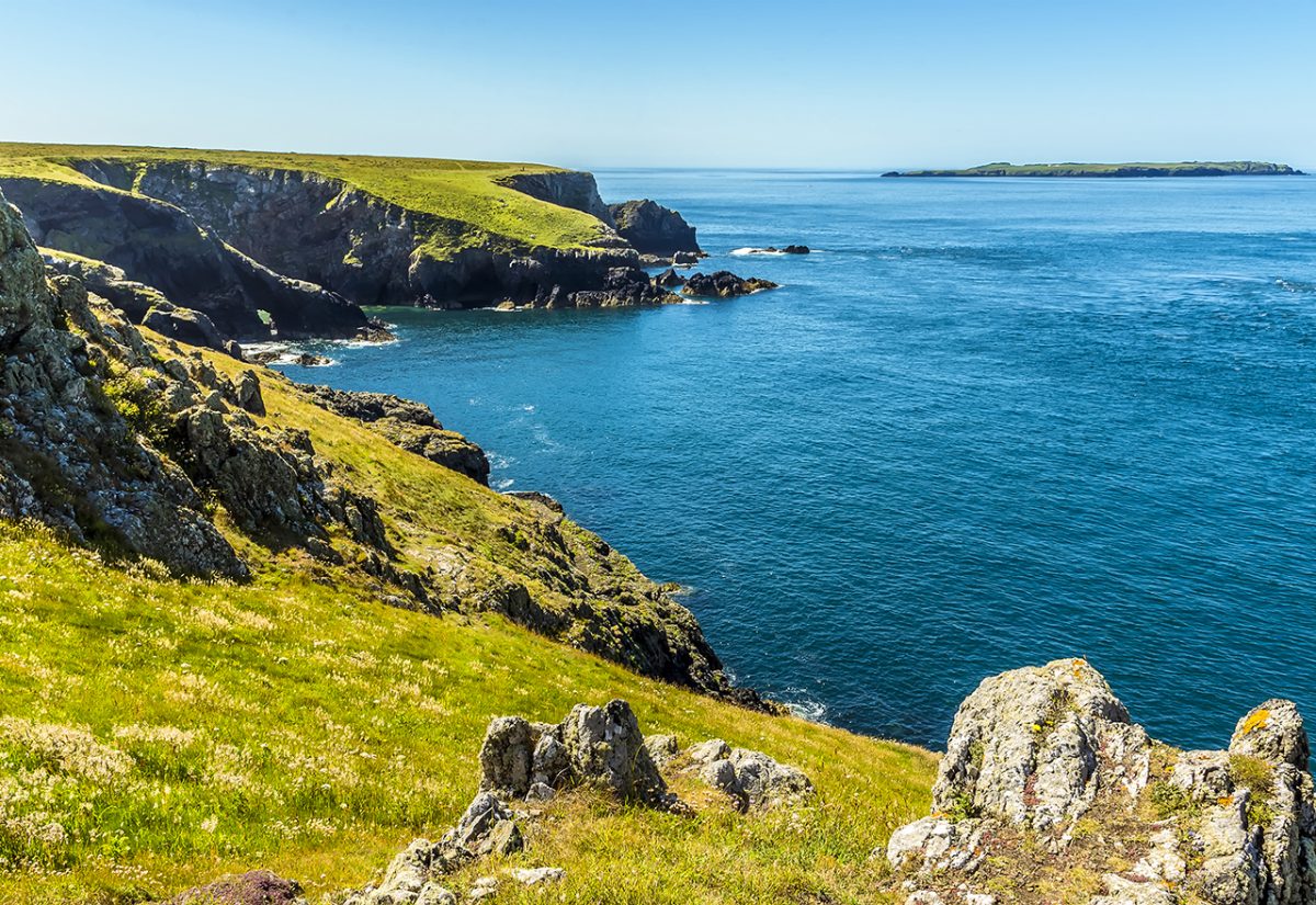Tour to Skomer Island, Wales