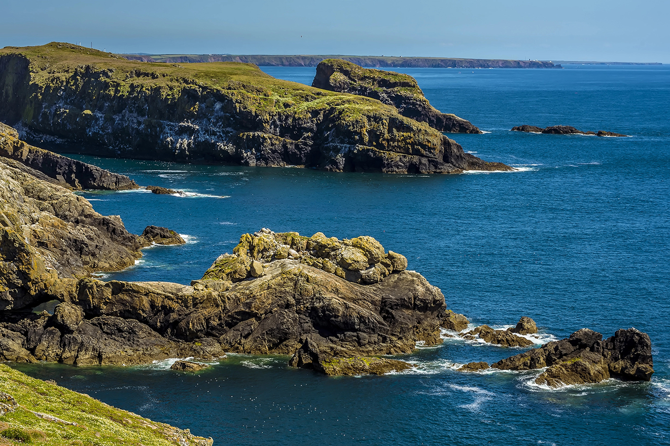 Tour to Skomer Island, Wales