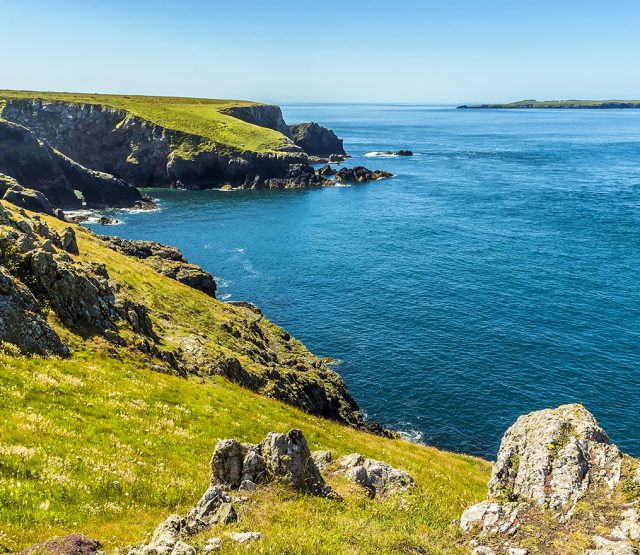Tour to Skomer Island, Wales